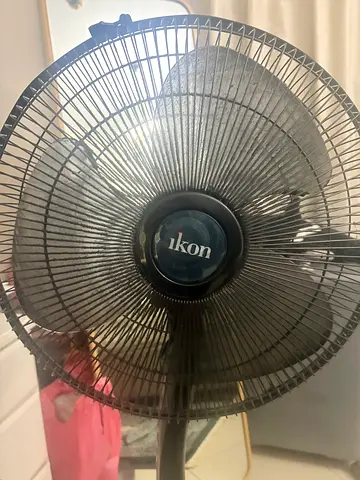 Fan