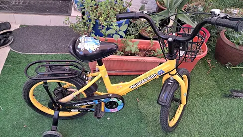 Childs Yellow Thunder Bird 16-inch Bike with Training Wheels