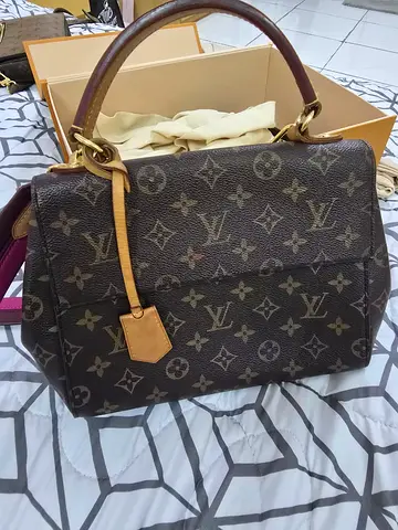 Pre-owned Louis Vuitton Monogram Cluny Handbag