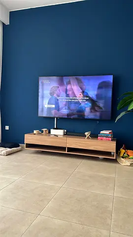 Wall mounted TV unit