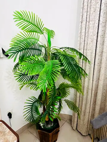 Artificial Plant for sale