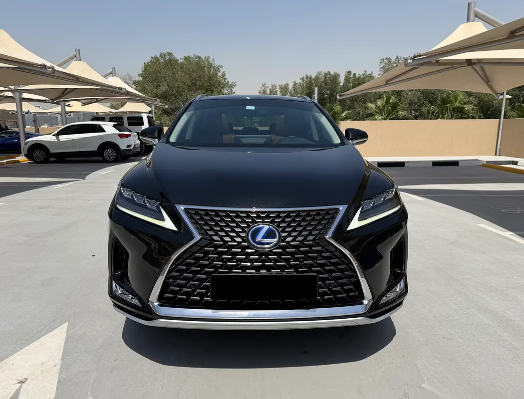 Lexus RX-Series 2021 — photo 1 of 19