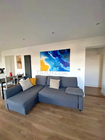 Ikea Gray Friheten L-shaped sofa combed (10/10)