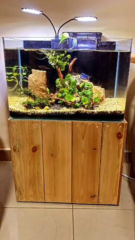 For Sale – 2 Fish Tanks with Full Setup