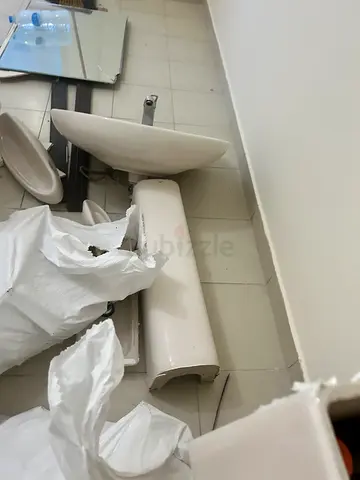 Bathroom basin and WC