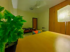 Single tenant spacious cozy and quiet room stay