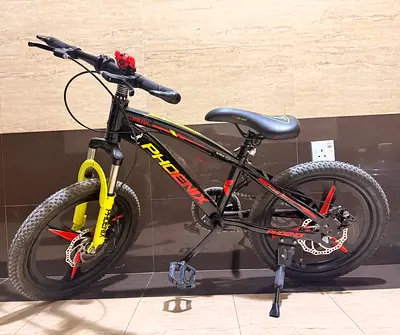 Pheonix Cycle for Kids (URGENT SALE)