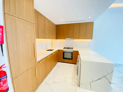 ALL NEW SPACIOUS ONE BR APARTMENT WITH FULLY FITTED KITCHEN