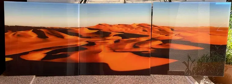 3-Panel Desert Landscape Room Divider / Folding Screen