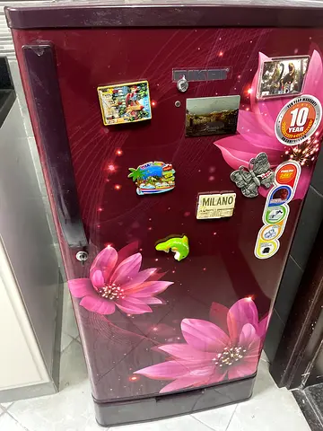 Nikal medium level  fridge for 300 aed only