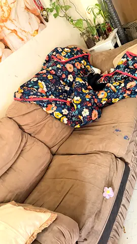 Sofa and 3 door cupboard