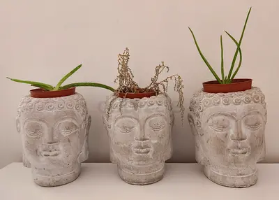 3 Flower pots