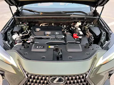 2024 Lexus NX-SERIES 缩略图 19