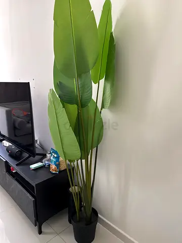 Tall artificial banana leaf plant in black pot