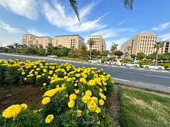 Brand New 2BHK+ Semi-Closed Kitchen + 3 Bathrooms
