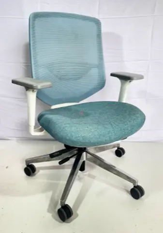 Herman Miller Express 2 Ergonomic Office Chair with Mesh Back and Adjustable Arms