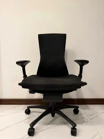 Herman Miller embody chair