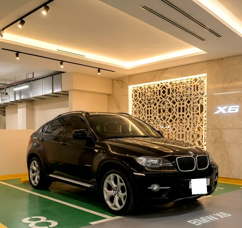 BMW X6 2011 — photo 1 of 8
