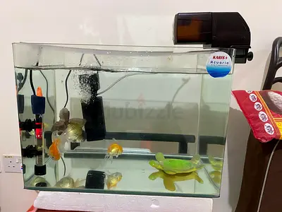 Aquarium with Filter, Heater and Automatic Feeder