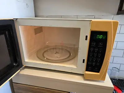 Elektra microwave oven