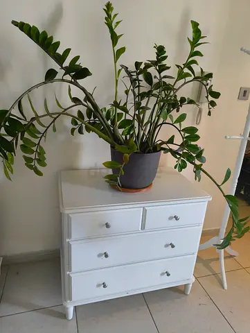 White chest of drawers / side tables