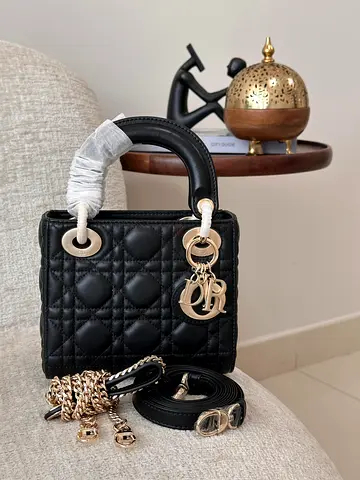 Dior bag for women