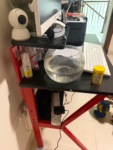 Study/gaming table