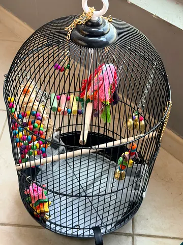 Toys and Food supply for bird