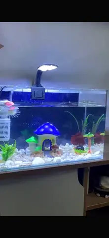 Fish tank