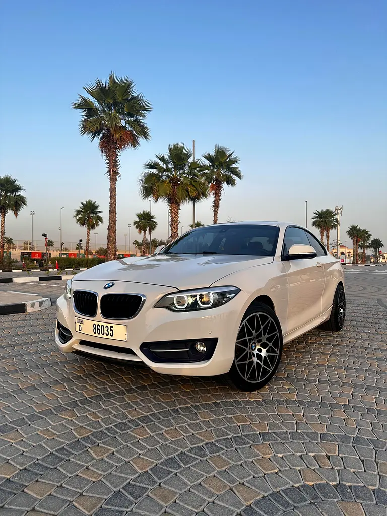 BMW 2-Series 2018 — photo 1 of 15