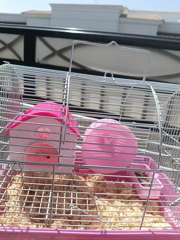 Small Pink Hamster Cage clean with Wheel and Accessories and food
