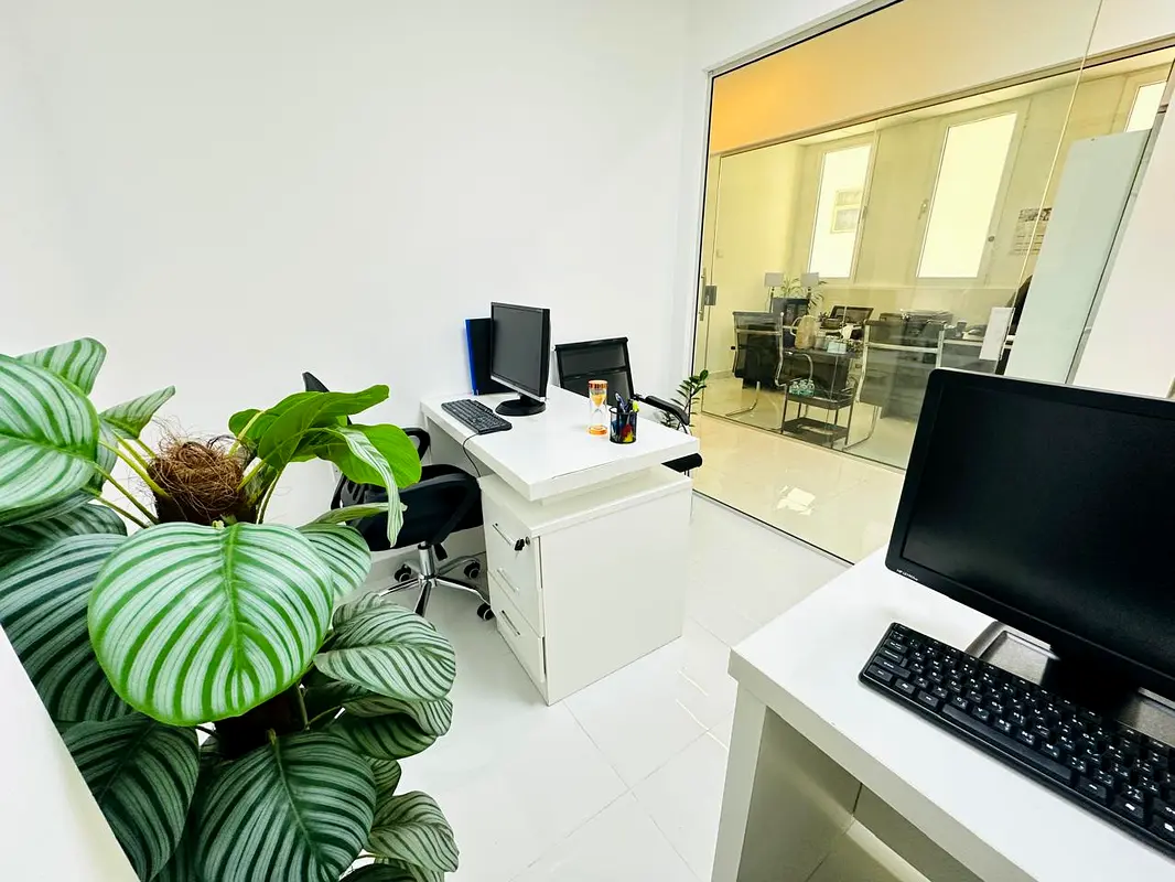 gallery-image