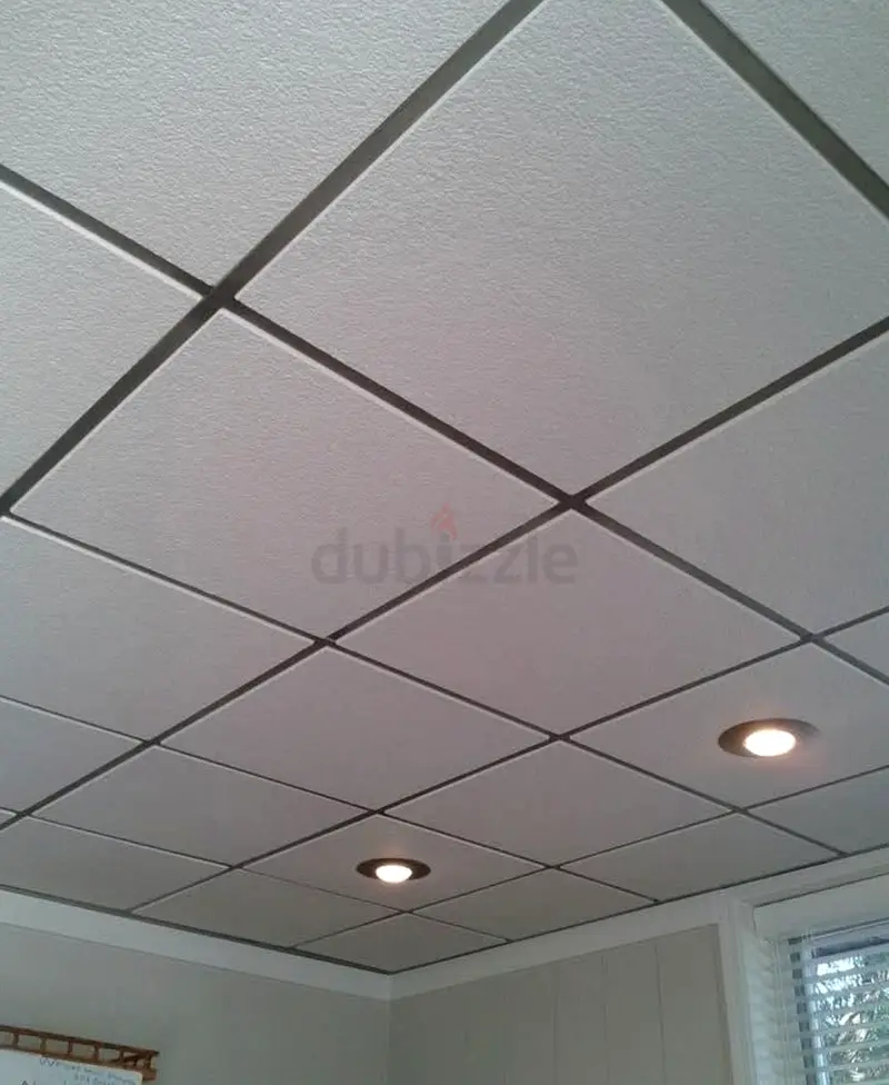 DPV_View_Image_1