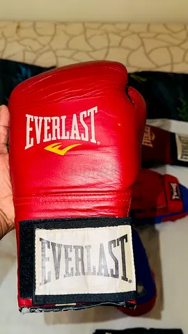 Boxing gloves and mitts set - Everlast  Twins, good condition