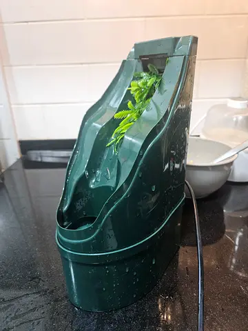 Reptile small water fountain