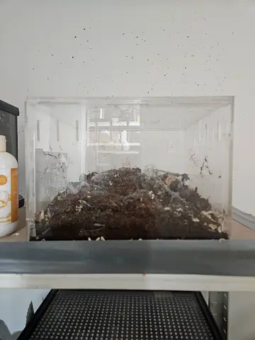 Acrylic reptile homes(cage)