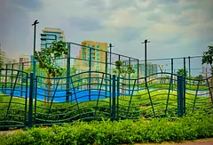 Luxury 2BHK | Open View | Multiple Options
