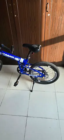 Blue Kids 16-inch Bicycle - Good Condition