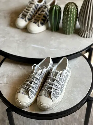 Christian Dior Oblique Low-Top Sneakers, Size 36 to 41