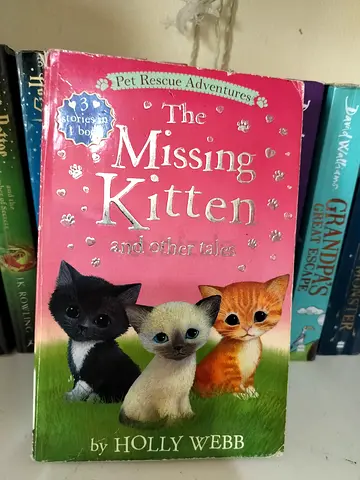 The Missing Kitten story book