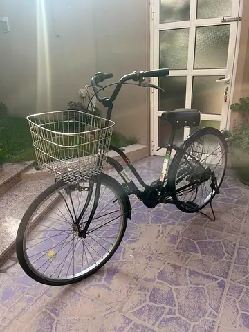 Well-maintained city/commuter bicycle with front basket and rear rack.
