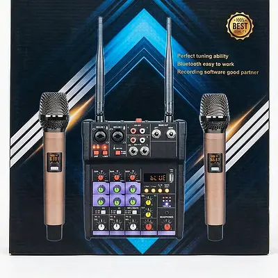 Professional Mixer with 2 Microphones