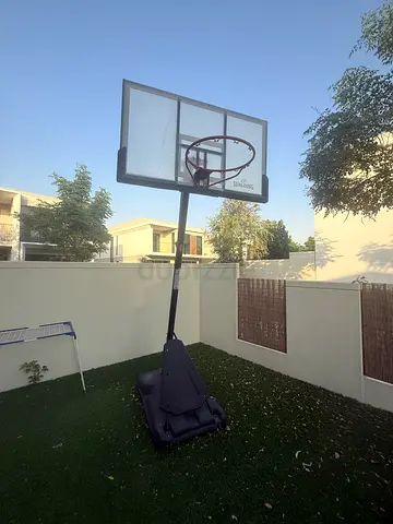 BasketBall Hoop
