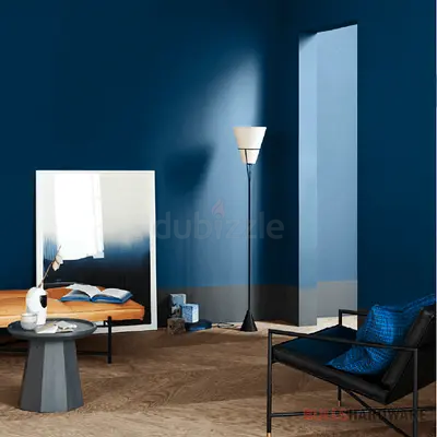 Home Painting
