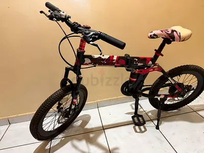 Folding cycle
