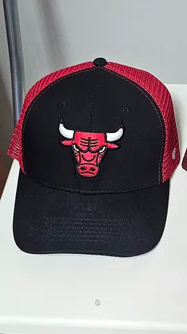 Bulls and GTR cap