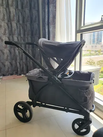 Baby Trend Expedition 2-in-1 Wagon Stroller