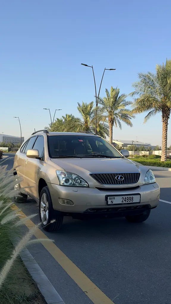 Lexus RX-Series 2004 — photo 1 of 11