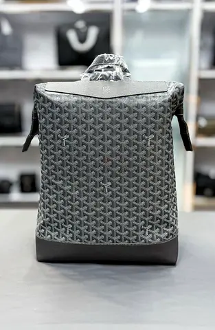 Grey Goyard Cisalpine backpack 🎒