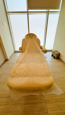 Silver Fox Beauty Bed 2246BV – Premium Beauty Clinic Bed for Sale